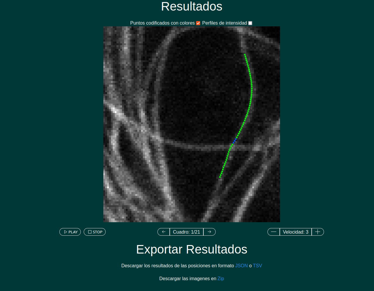 Resultados